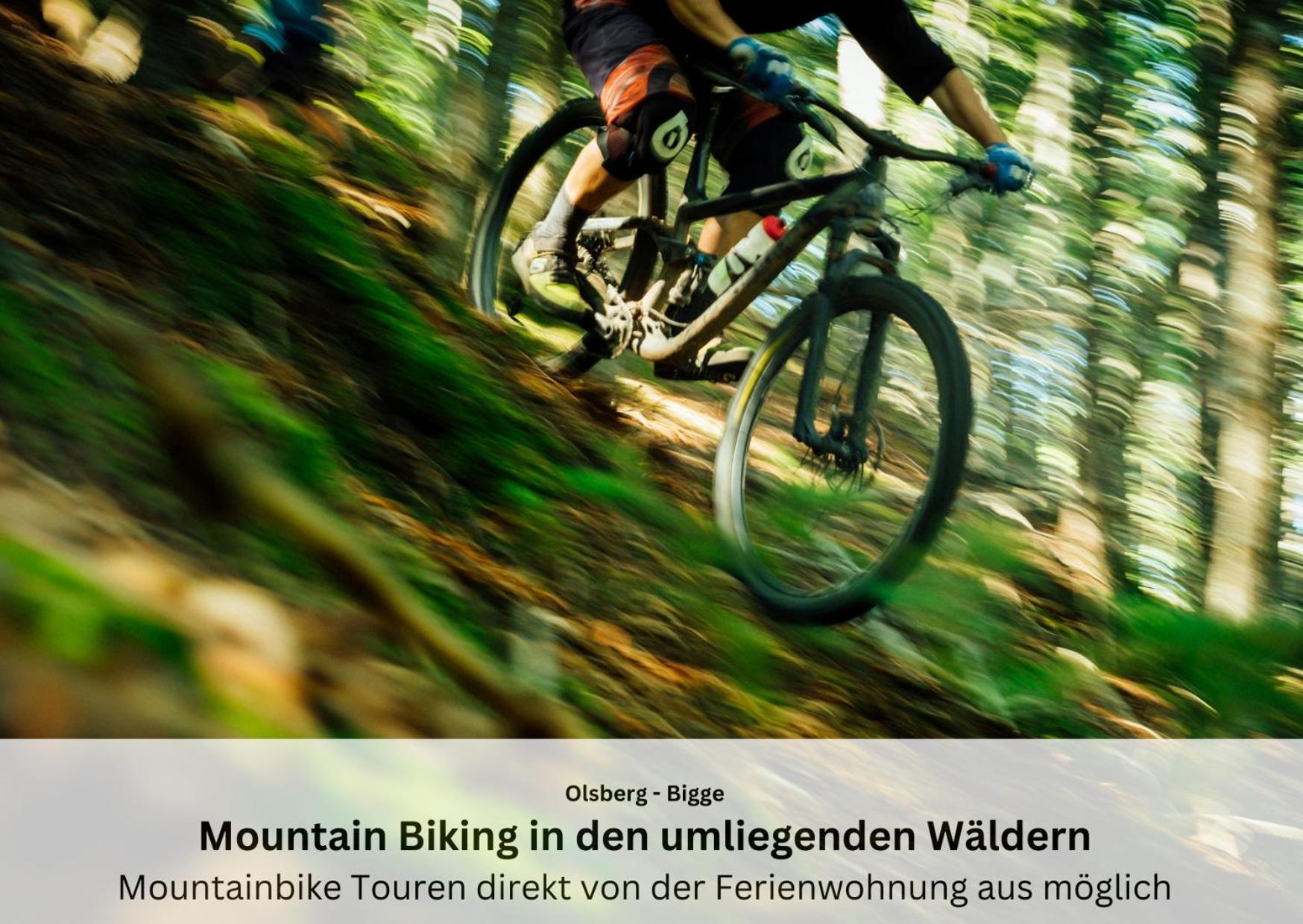 Ferienwohnungen Sauerland Und Olsberg Exteriér fotografie