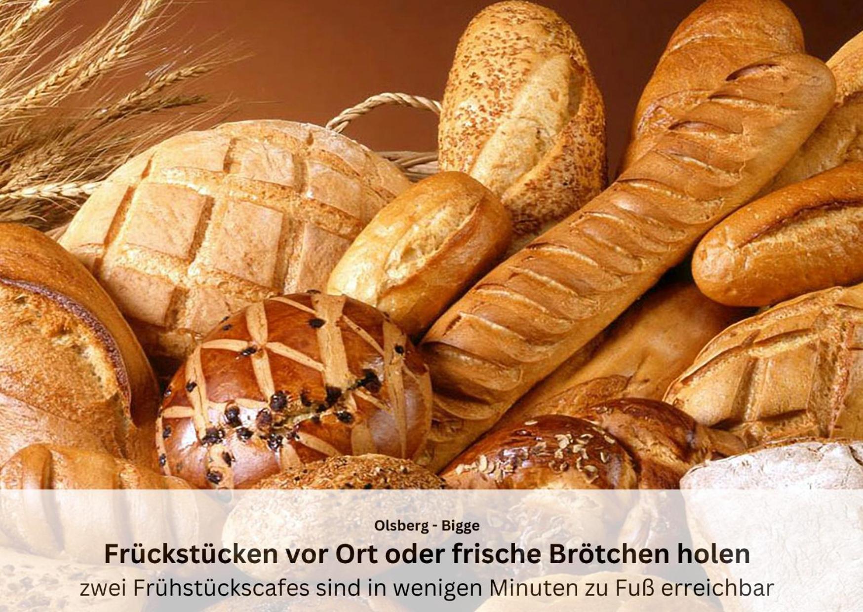 Ferienwohnungen Sauerland Und Olsberg Exteriér fotografie