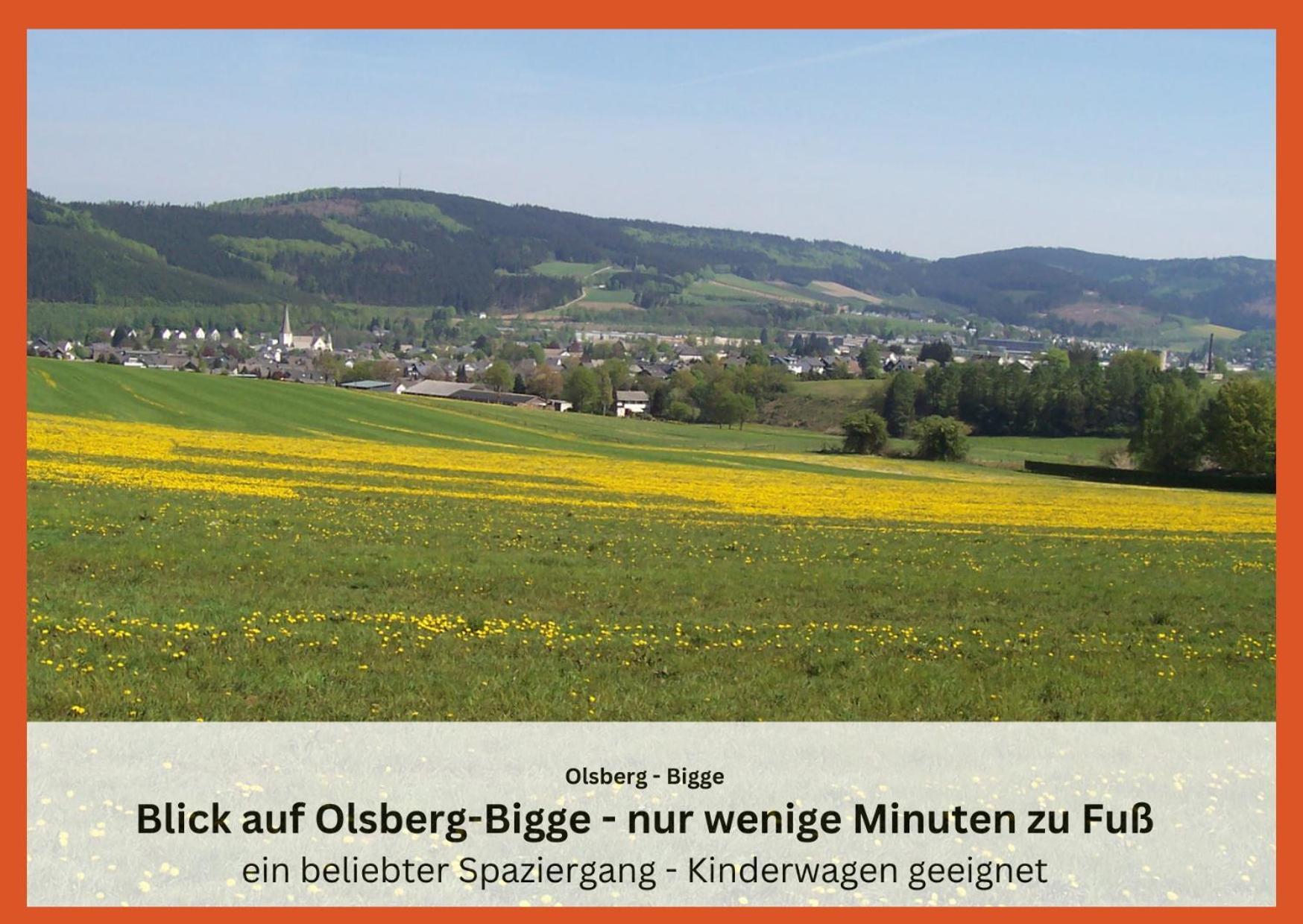 Ferienwohnungen Sauerland Und Olsberg Exteriér fotografie
