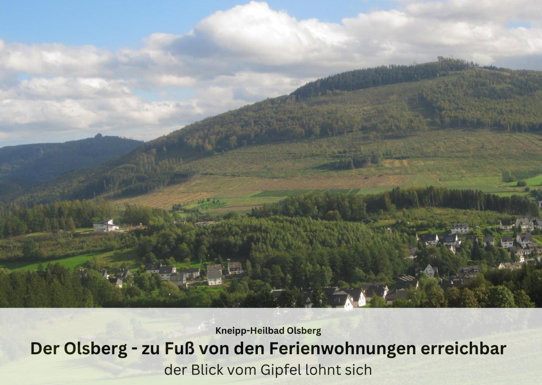 Ferienwohnungen Sauerland Und Olsberg Exteriér fotografie