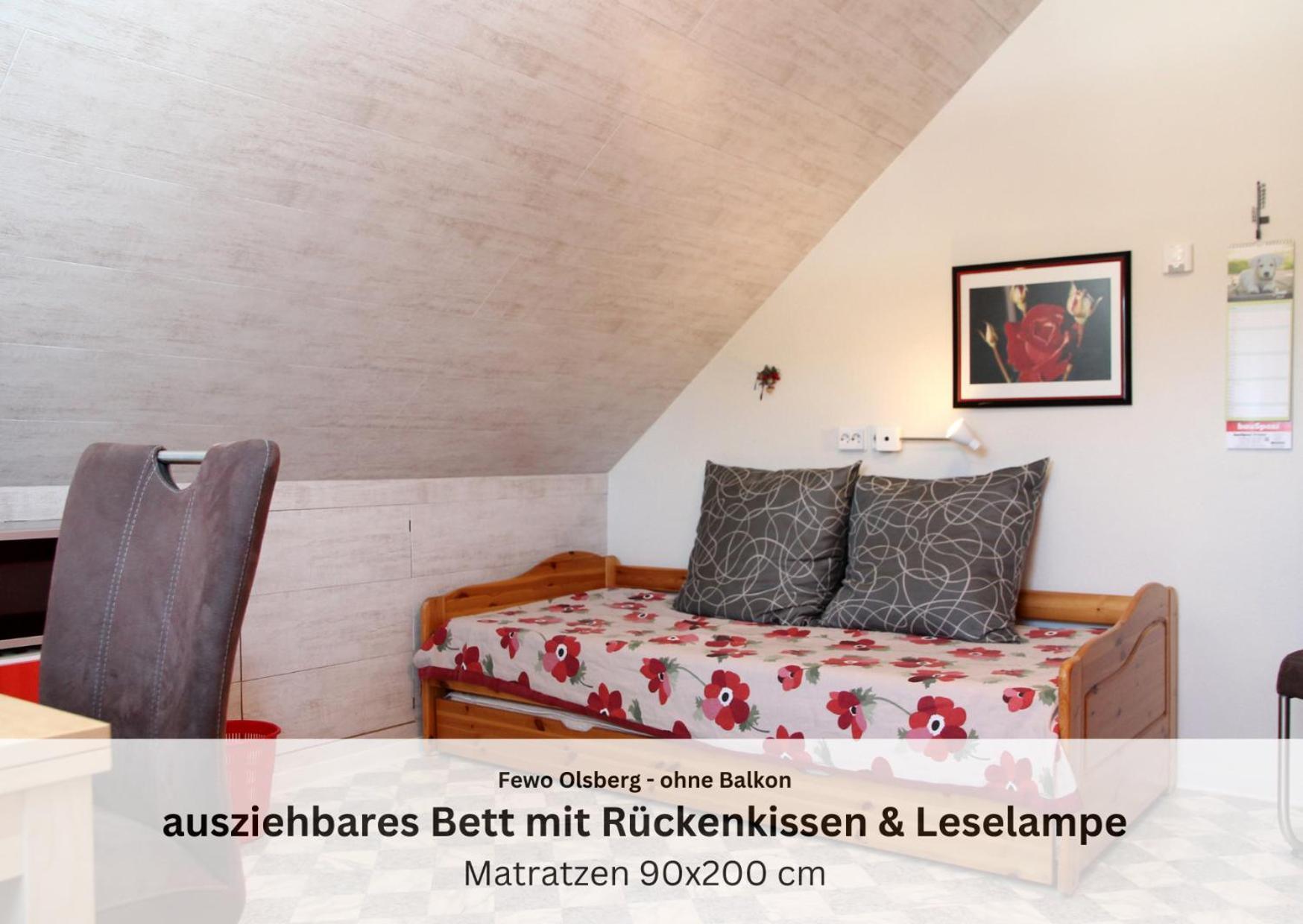 Ferienwohnungen Sauerland Und Olsberg Exteriér fotografie