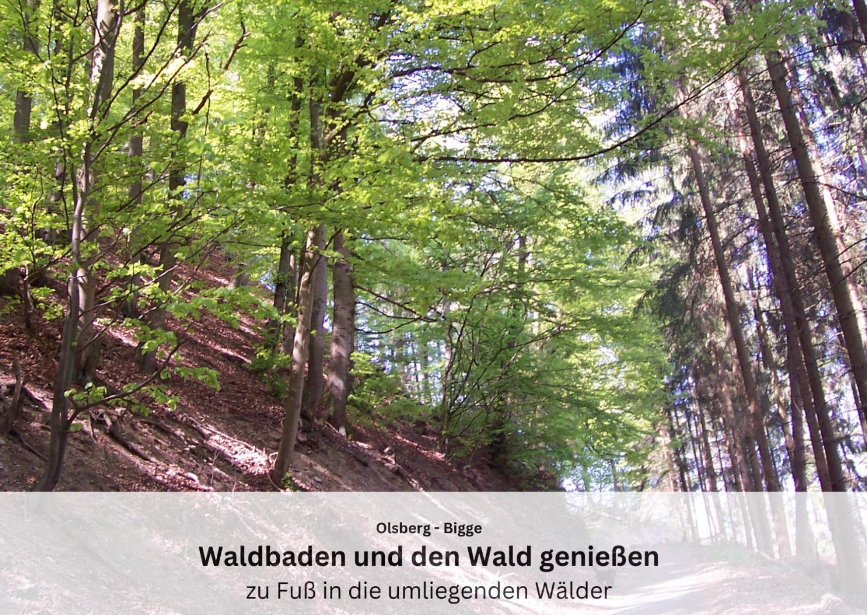 Ferienwohnungen Sauerland Und Olsberg Exteriér fotografie